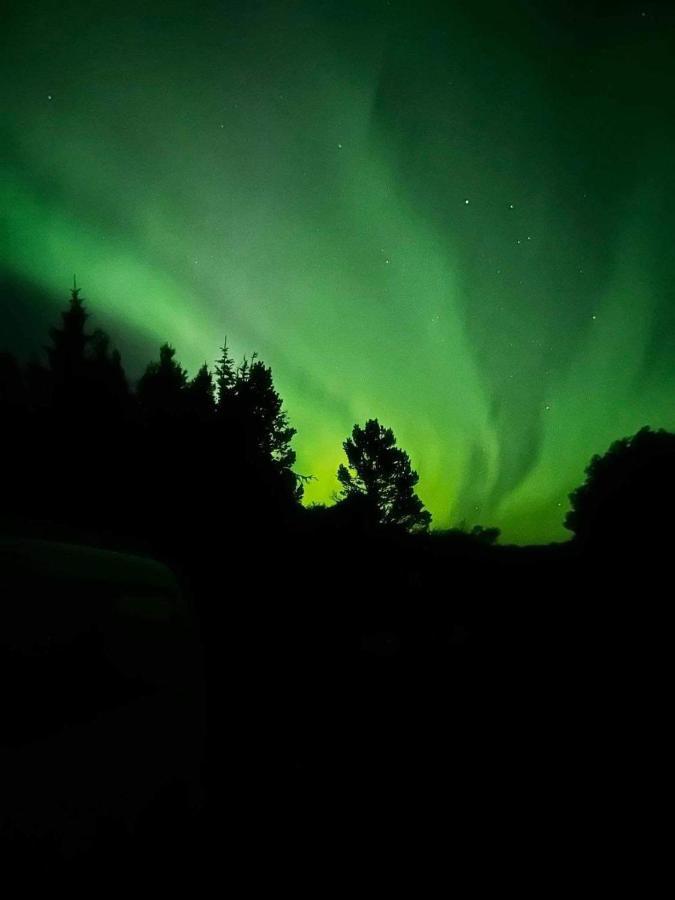 Hotel Golden Circle Domes - Glamping Experience Selfoss Zewnętrze zdjęcie
