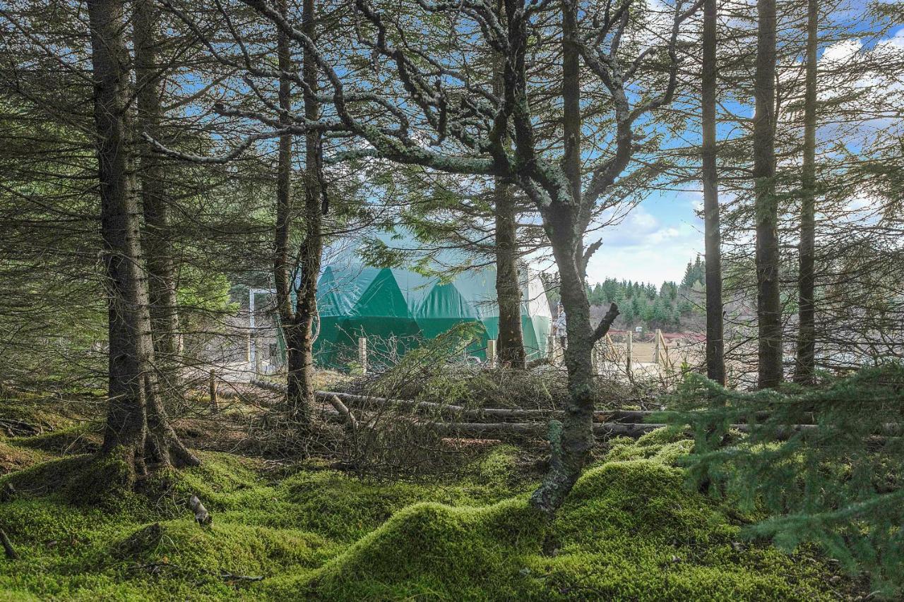 Hotel Golden Circle Domes - Glamping Experience Selfoss Zewnętrze zdjęcie