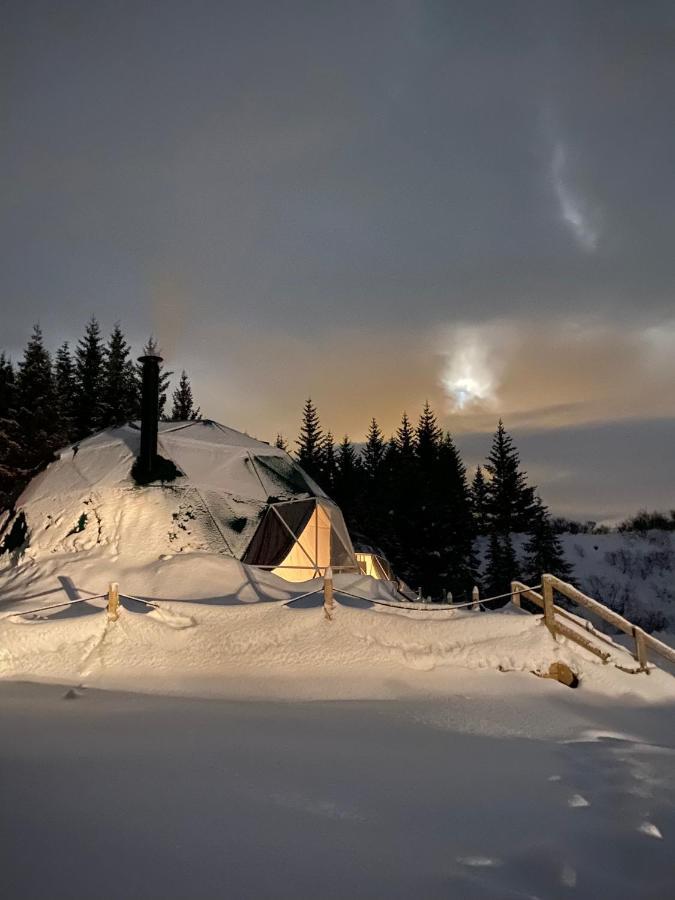 Hotel Golden Circle Domes - Glamping Experience Selfoss Zewnętrze zdjęcie