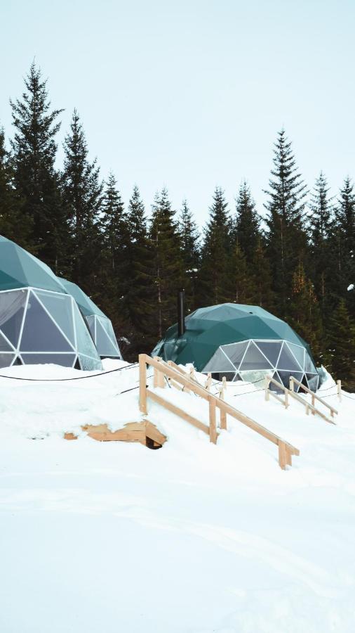 Hotel Golden Circle Domes - Glamping Experience Selfoss Zewnętrze zdjęcie