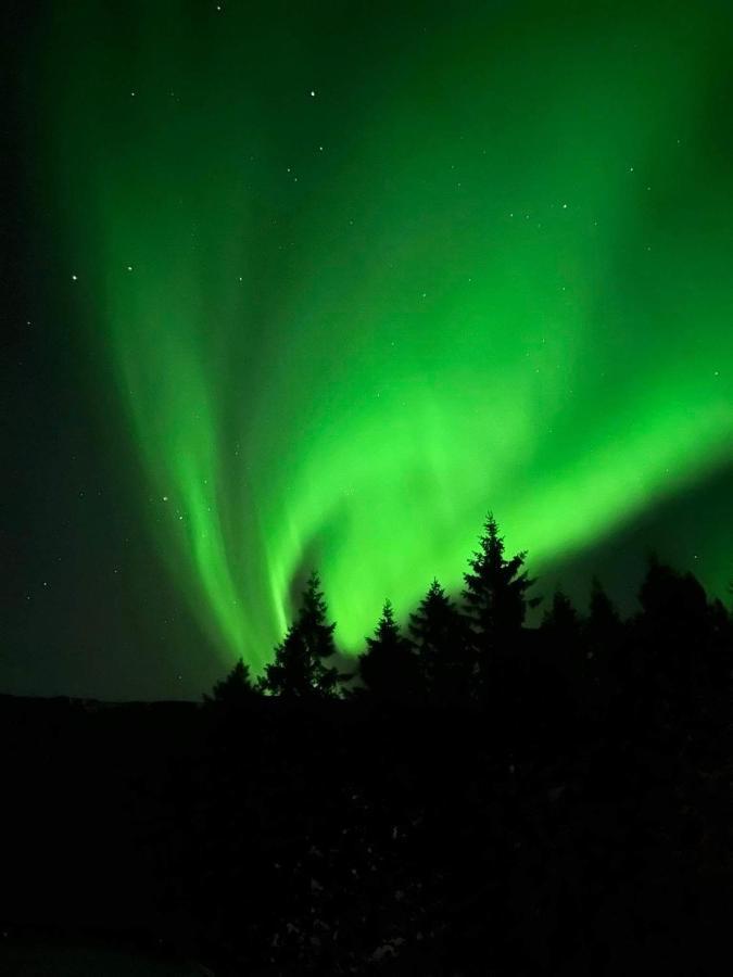 Hotel Golden Circle Domes - Glamping Experience Selfoss Zewnętrze zdjęcie