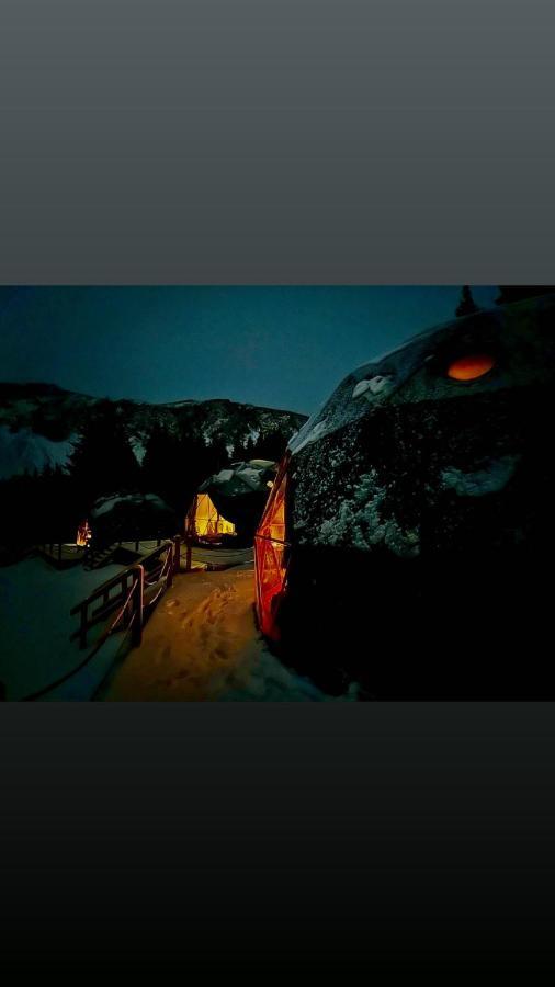 Hotel Golden Circle Domes - Glamping Experience Selfoss Zewnętrze zdjęcie