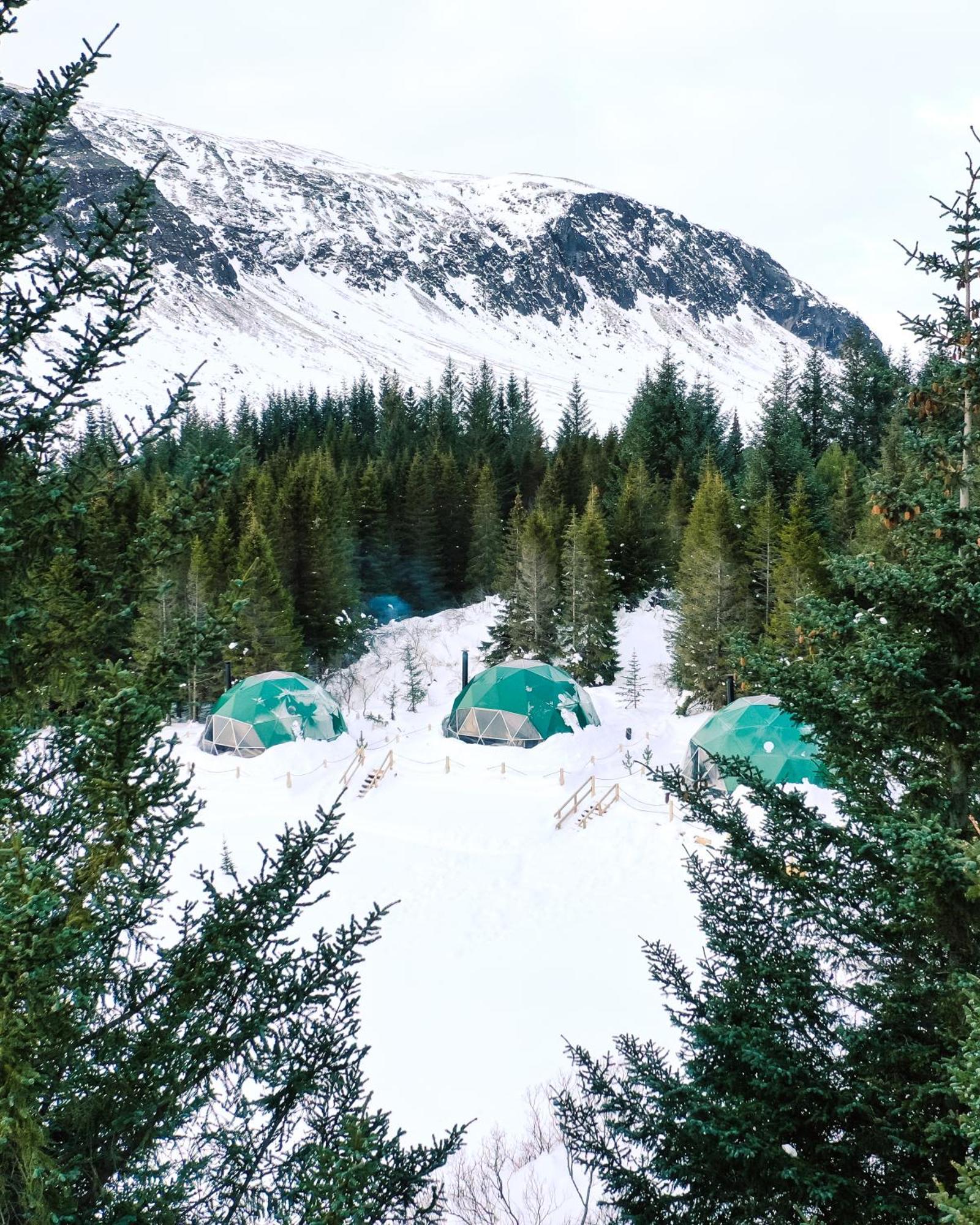 Hotel Golden Circle Domes - Glamping Experience Selfoss Zewnętrze zdjęcie